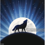 Chloe’s wolf pack