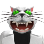 Roblox DS