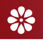 flymérida