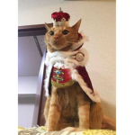 名前が思い付かなかった
