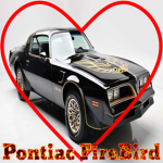 Pontiac FireBird Fan Group
