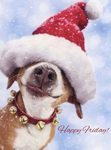 cute santa doggy
