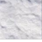Snow United!