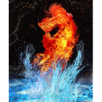 fire teams xxxd