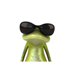 RAİSE FROG