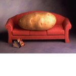 The REAL Couch Potatos