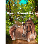 Dream team stables