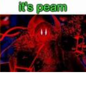 "it's peam" the experience