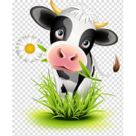 ~.Sunset Moo Flower-)