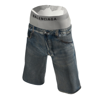 Denim Shorts thumbnail