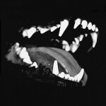 Dog Days | Read Desc |