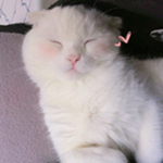 FluffyStrawberries!