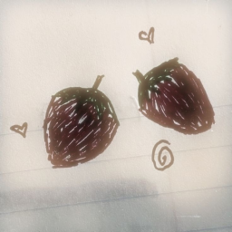 — ˗ˋ ୨୧ ˊ˗ —