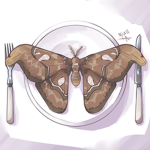 The Möth Appetite