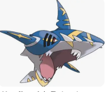 TCshark