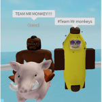 Team Mr.Monkeys