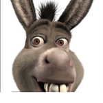 DONKEYS RULE yay