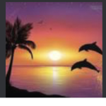 Summer fire