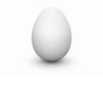 egg gods kingdom