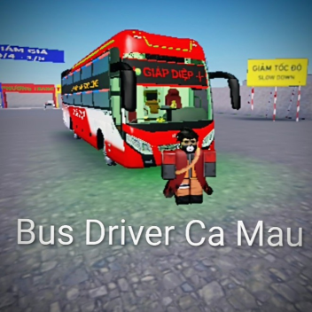  Ca Mau Bus Driver 1 