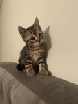 xfellxdownxa_drain
