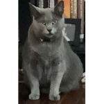 R 3 D M 0 0 D