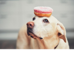 I love DOUGHNUTS!!!!!!!