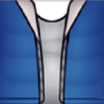 Sans Blue Jacket Roblox decal