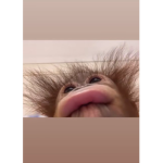 ei broski