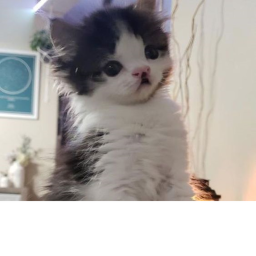 ^-^