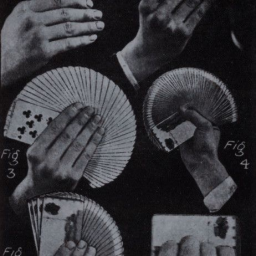 ° ⋆.♟️ִ * .+