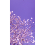 -SpecialClouds-