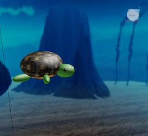 Turtle Explorers!