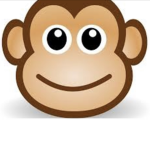 The monkey city