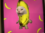 Bananis Club