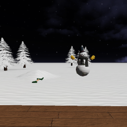 Winter House