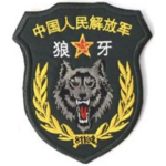 狼牙特战队