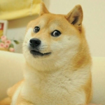 Dogemasterss