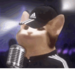 PoPcat ARMYYYYYYYYYYYY