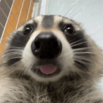 erf.