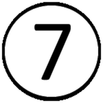 Stage 7