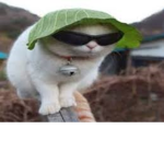 gulu