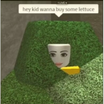 Ppl robux