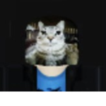 MEOW WAWA cult