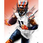 Chicago bears fans FORLIFE