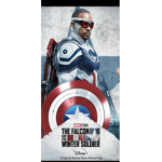 Falcon and the Winter solder Marvel Studios