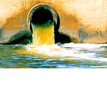 (Summer) Camp Hangout C;