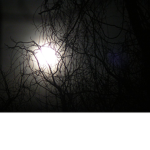 Dark-clothing