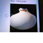 Fat Bois 2077 yt