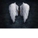 angels academy*-*